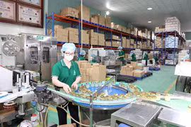 Предприятие по производству продуктов из ласточкиных гнёзд в провинции Кханьхоа (Фото: ВИА)