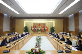 Премьер-министр Фам Минь Тьинь провёл встречу с Председателем Палаты представителей Иордании (Фото: ВИА)