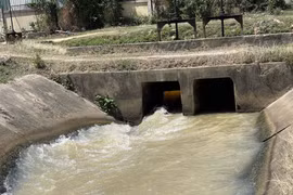 За счет инвестиций из средств ОПР и льготных кредитов многие проекты по ирригации эффективно способствовали развитию сельского хозяйства в южных районах провинции Кханьхоа (Фото: ВИА)