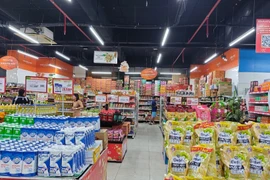 Вьетнамские потребители — самые оптимистичные в АСЕАН благодаря устойчивым экономическим стимулам (Фото: Вьетнам+)