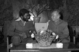 50 лет вьетнамско-мозамбикских отношений: добрые традиционные узы дружбы