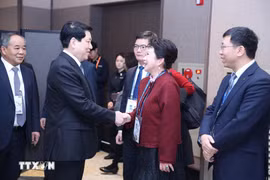 Президент Лыонг Кыонг принял доктора Ли Ли, основателя корпорации MEBO International (Фото: ВИА)
