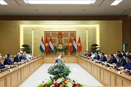 Премьер-министр Фам Минь Тьинь провёл встречу с Президентом Венгрии Тамашем Шуйоком (Фото: ВИА)