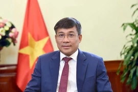Постоянный заместитель министра иностранных дел Нгуен Минь Ву (Фото: МИД)