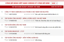 Публикация рейтинга VNR500 за 2025 год. (Организатор)