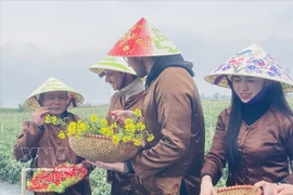 Множество жителей и туристов приходят на пляж Тхуанан в городе Хюэ, чтобы отдыхать и купаться (Фото: ВИА)