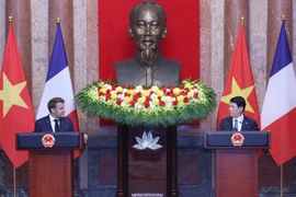 Президент Лыонг Кыонг (справа) и президент Франции Эммануэль Макрон на совместной пресс-конференции (Фото: ВИА)