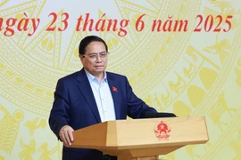Премьер-министр Фам Минь Тьинь председательствует на конференции по подведению итогов пикового периода борьбы с контрабандой, торговым мошенничеством и контрафактными товарами (Фото: ВИА)