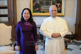 Вице-президент Во Тхи Ань Суан встречается с Папой Львом XIV