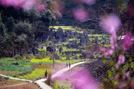 Каменное плато Донгван — ведущее мировое культурное направление 2025 года