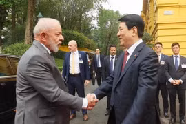 Президент Лыонг Кыонг (справа) приветствует президента Бразилии Лулу да Силву в Ханое утром 28 марта (Фото: ВИА)