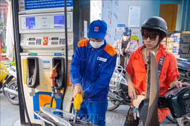 Покупка бензина и дизельного топлива на автозаправочной станции Petrolimex (Фото: ВИА)