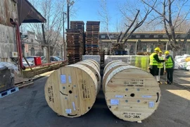 Первая партия телекоммуникационных товаров Viettel, экспортированную в Аргентину (Фото: ВИА)