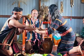 Уникальный обряд сватовства народа Джрай в провинции Зялай