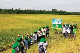 Petrovietnam и его ключевая роль в обеспечении продовольственной безопасности страны (Фото: Petrotimes.vn)