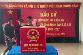 Рыбаки голосуют на избирательном участке Дале в районе Чыонгша провинции Кханьхоа.