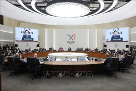 Президент Лыонг Кыонг принял участие в Саммите 32-го Форума APEC (Фото: ВИА)