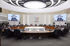 Президент Лыонг Кыонг принял участие в Саммите 32-го Форума APEC (Фото: ВИА)