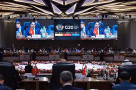 Премьер-министр Фам Минь Тьинь предложил три стратегических приоритета на саммите G20 (Фото: ВИА)