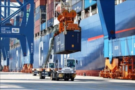 Погрузка и разгрузка импортно-экспортных грузов в международном порту Gemalink (Фото: ВИА)