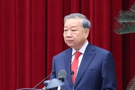 Генсек То Лам выступает на 2-ом пленуме ЦК КПВ XIV созыва (Фото: ВИА)