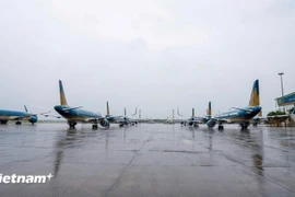 Самолёты авиакомпании Vietnam Airlines. (Фото: Вьетнам+)