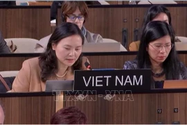 Постоянный представитель Вьетнама при ЮНЕСКО, посол Нгуен Тхи Ван Ань, выступила с представлением инициативы на 222-й сессии Исполнительного совета ЮНЕСКО (Фото: ВИА)