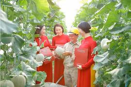 Agribank также является одним из банков, направляющих значительные финансовые ресурсы в сферу «зелёного» сельского хозяйства (Фото: ВИА)