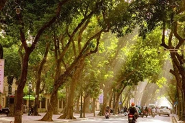 Осень – особое очарование Ханоя