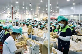 Рабочие на производстве в промышленной зоне Зулонг, провинция Кханьхоа.