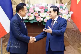 Председатель НС Чан Тхань Ман проводит встречу с Премьер-министром Таиланда Анутином Чарнвиракулом (Фото: ВИА)