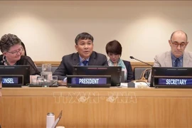 Постоянный заместитель министра иностранных дел Нгуен Минь Ву (в центре) председательствовал на конференции в качестве председателя (Фото: ВИА)