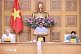 Премьер-министр Фам Минь Тьинь председательствует на совещании по внедрению двухуровневой модели организации местной власти (Фото: ВИА)