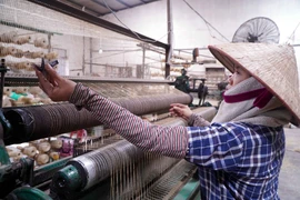 Сохраняя традиционное ремесло плетения циновок из ситника в провинции Хынгйен