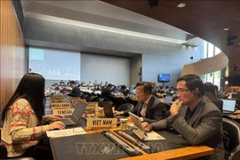 Заместитель главы Постоянного представительства Вьетнама в Женеве - советник-посланник Фам Куанг Хий и члены делегации (Фото: ВИА)