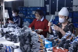 Текстильная и обувная продукция всё ещё обладает большим потенциалом на внутреннем рынке Вьетнама (Фото: ВИА)
