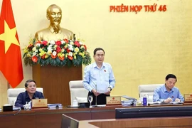 Председатель НС Чан Тхань Ман произносит вступительную речь на сессии (Фото: ВИА)