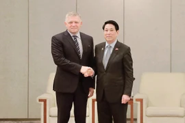 Президент Вьетнама Лыонг Кыонг встретился с Премьер-министром Словакии Робертом Фицо (Фото: ВИА)