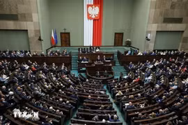 Одно из заседаний парламента Польши (Фото: PAP/ВИА)