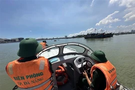 Дананг решительно борется с ННН-промыслом