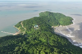 Комплекс островов Хонкхоай – ключевой транспортный и экономический узел дельты Меконга