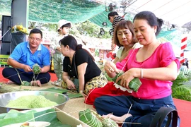 Виньлонг стимулирует туризм, создавая импульс для прорыва в новом году