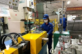 Производственная деятельность на АО «Суанхоа Вьетнам», провинция Футхо (Фото: QDND)