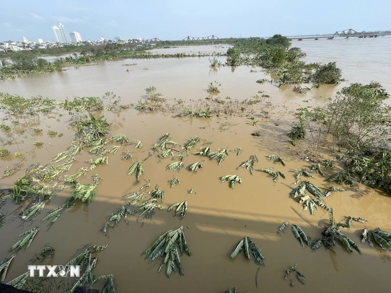 Уровень воды в реках неуклонно снижается, средние берега Красной реки вновь выходят на поверхность после того, как они были затоплены в течение нескольких дней. (Фото сделано в 8:15 утра, 13 сентября 2024 года, ВИА).