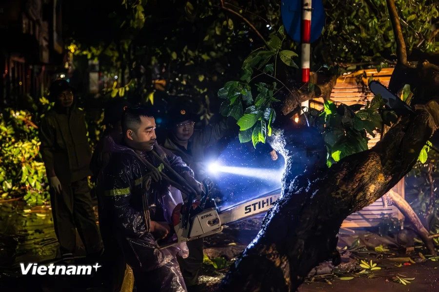 Власти не спали всю ночь, чтобы справиться с последствиями урагана, пронесшегося по столице. (Фото: VietnamPlus)