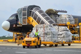 Гуманитарный груз выгружают из самолёта. (Фото: ВИА)