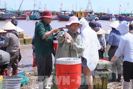 Жители переносят купленные ящики с морепродуктами на берег, чтобы доставить их на рынок Жаохай в общине Жаофук для реализации. (Фото: ВИА)