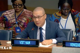 Советник-посланник Нгуен Хоанг Нгуен, временный поверенный в делах Постоянного представительства Вьетнама при ООН. (Фото: ВИА)