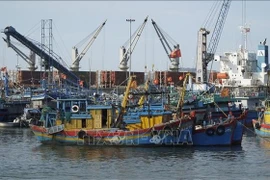 Рыболовные суда в порту Куангнгай. (Фото: ВИА)