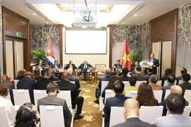 Премьер-министр Фам Минь Тьинь выступил на встрече предпринимателей двух стран. (Фото: ВИА)